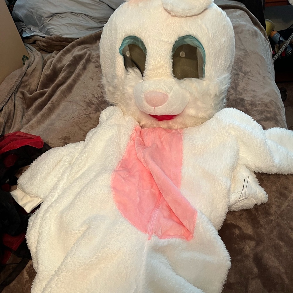 Easter bunny costume